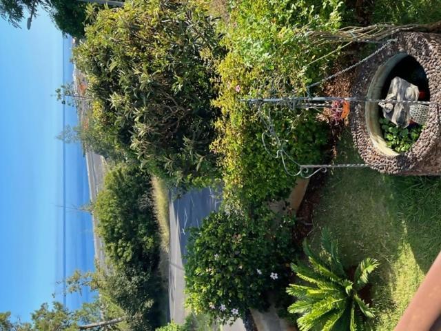 Vila Gama Apartamentos Rodeados De Natureza Machico  Dış mekan fotoğraf