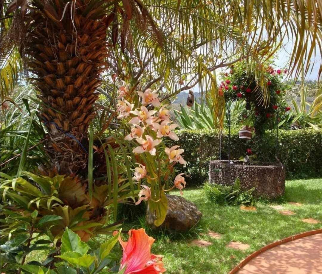 Vila Gama Apartamentos Rodeados De Natureza Machico  Dış mekan fotoğraf