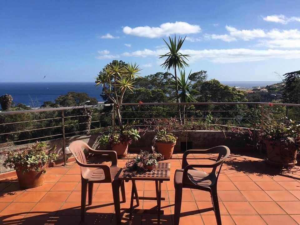 Vila Gama Apartamentos Rodeados De Natureza Machico  Dış mekan fotoğraf